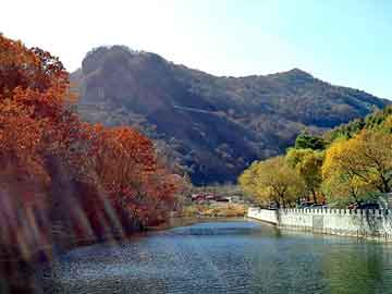 新澳天天开奖资料大全旅游团，黑道纵横